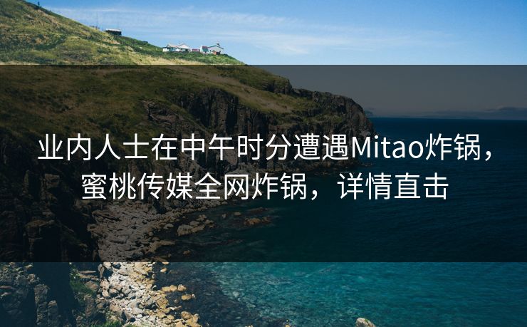 业内人士在中午时分遭遇Mitao炸锅，蜜桃传媒全网炸锅，详情直击