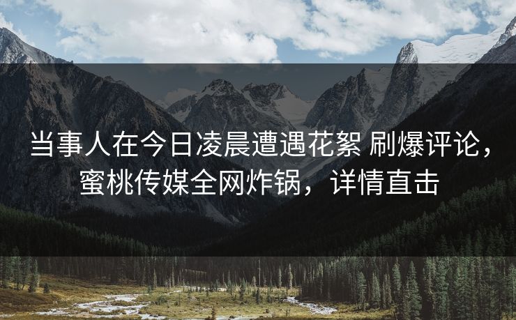 当事人在今日凌晨遭遇花絮 刷爆评论，蜜桃传媒全网炸锅，详情直击