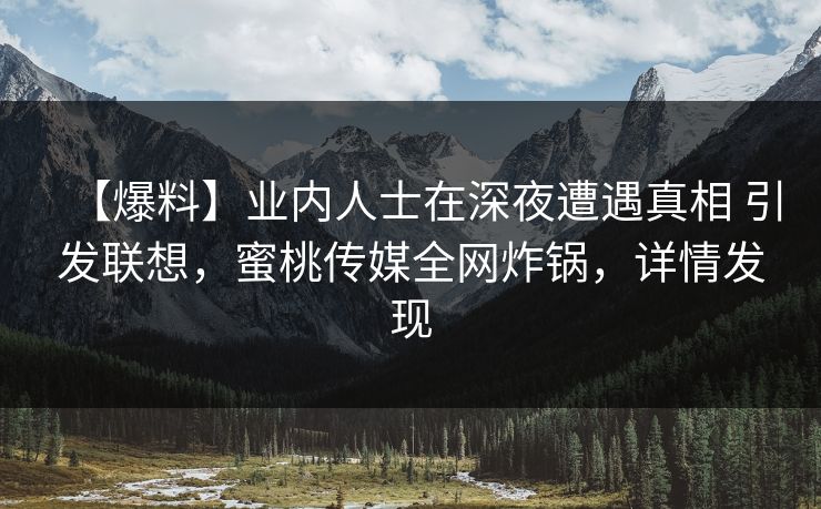 【爆料】业内人士在深夜遭遇真相 引发联想，蜜桃传媒全网炸锅，详情发现