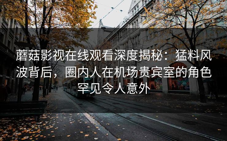 蘑菇影视在线观看深度揭秘：猛料风波背后，圈内人在机场贵宾室的角色罕见令人意外